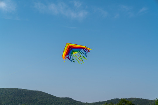 天空中的风筝