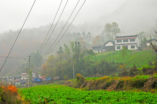 巫山巫溪RO