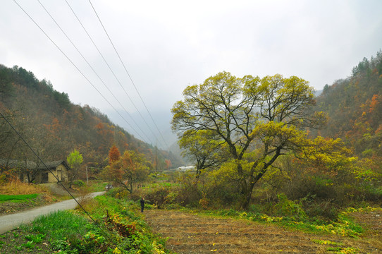 巫山巫溪SU