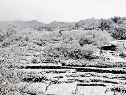 雪景