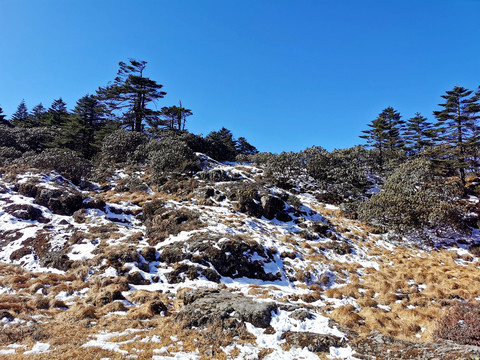 雪山