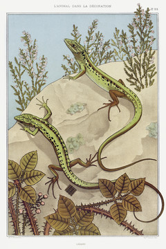 Verneuil装饰艺术设计蜥蜴图案
