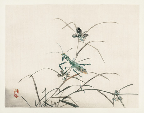 幸野楳嶺蚱蜢