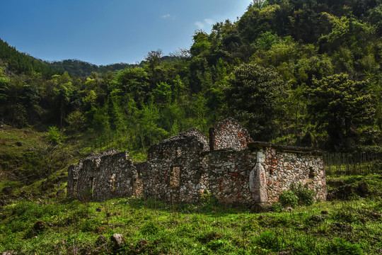 菌子山风光