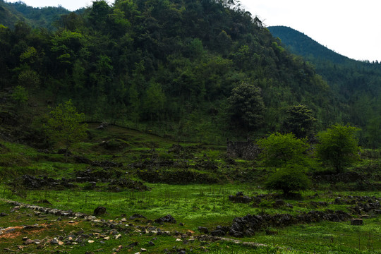 菌子山风光