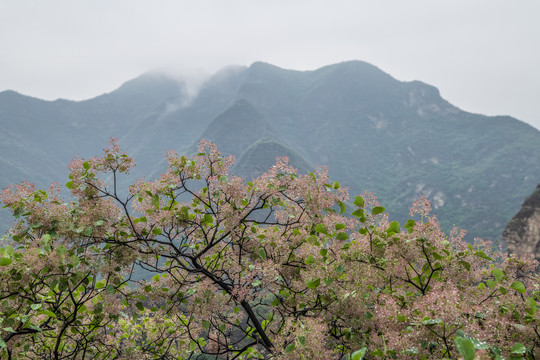 雨后山区风景