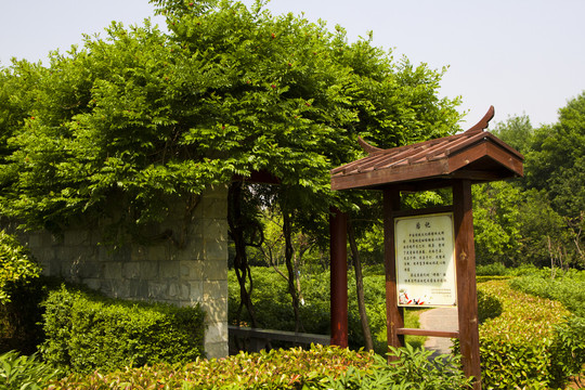隋唐城遗址植物园