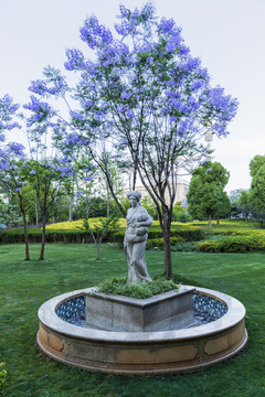 美丽的蓝花楹树下的塑像