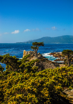 旧金山海湾