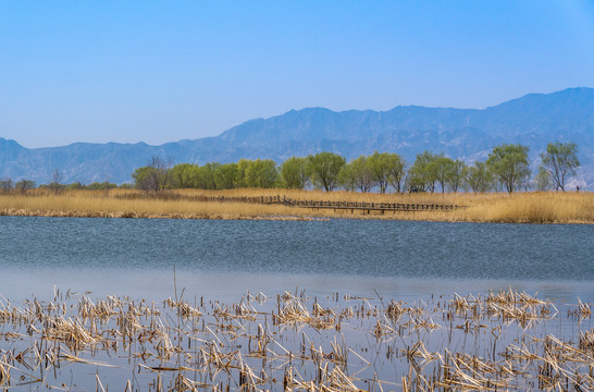 北京野鸭湖湿地公园