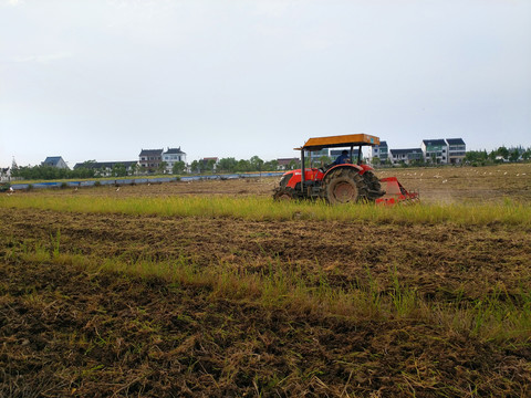 田园翻耕白鹭