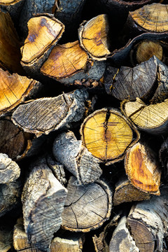 木材木堆木头