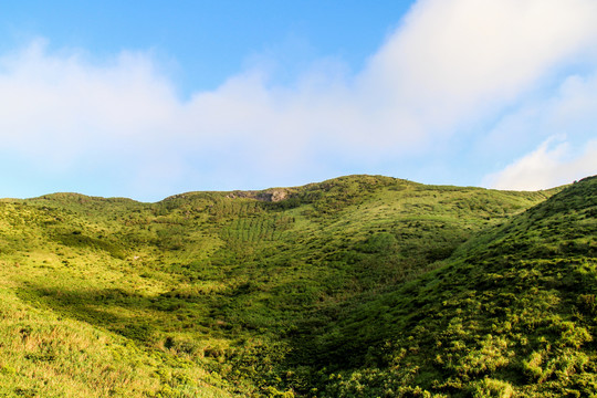 嵛山岛