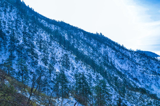 成都西岭雪山景区