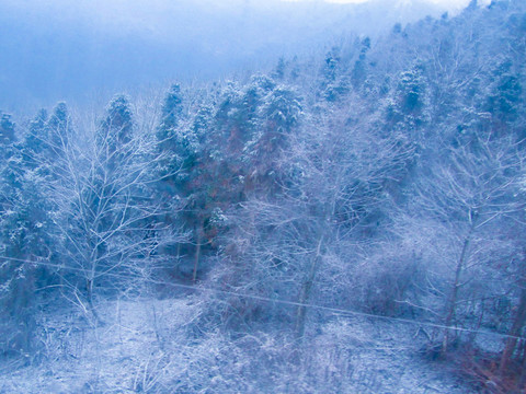 雪景雾凇