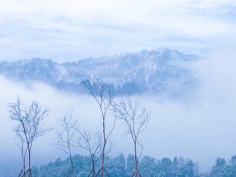 西岭雪山