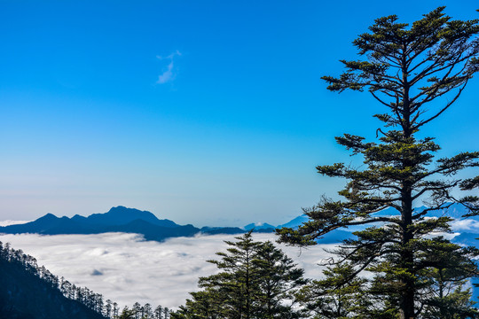 西岭雪山