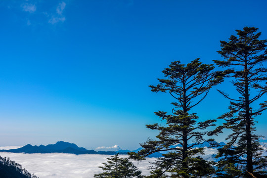 四川西岭