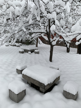 雪中的石桌