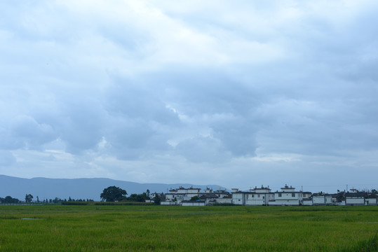 大理
