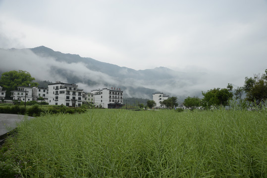 婺源