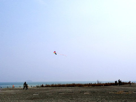 海边广场刚起飞的风筝