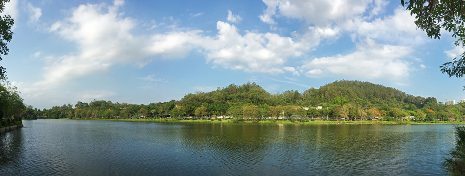 湖畔绿意水青山