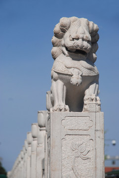 桥护栏狮子石刻