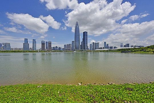 深圳湾超级总部基地