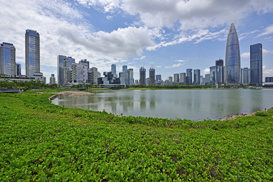 深圳人才公园