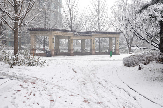 雪中庭院