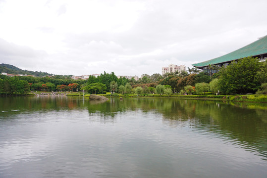 厦门大学芙蓉湖