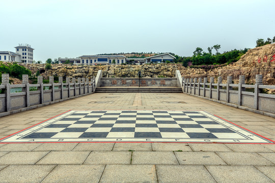 国际象棋
