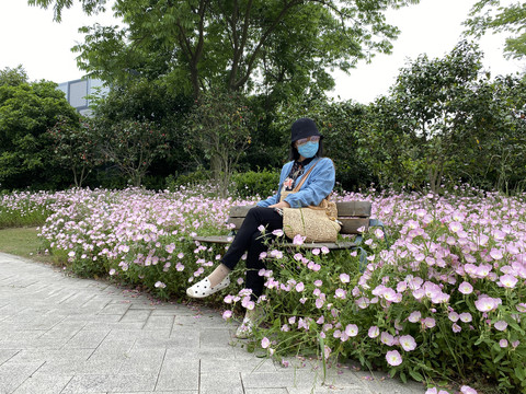 美丽月见草花丛里赏花的女子