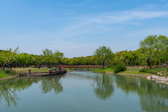 上海嘉北郊野公园湖泊