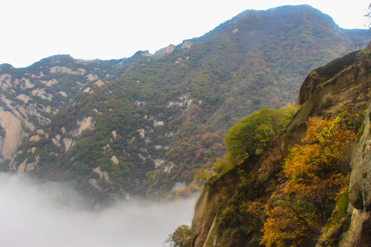 西岳华山