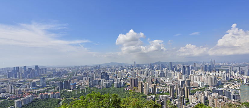 深圳全景