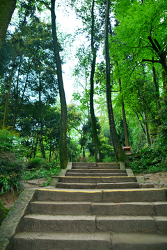 登山道路