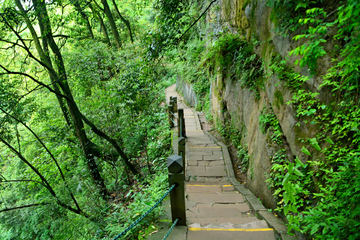 青城山登山道