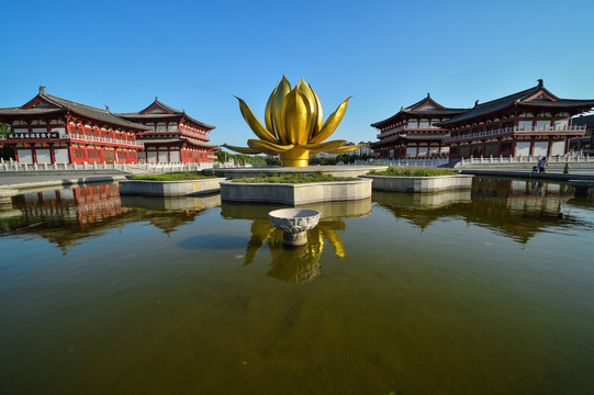 汶上宝相寺莲花