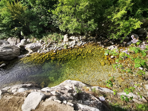 秦岭风光