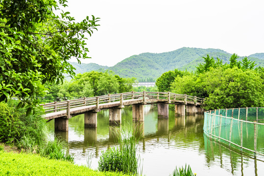 湘湖天鹅池