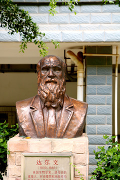 达尔文雕像
