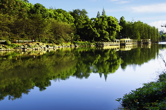 长沙植物园