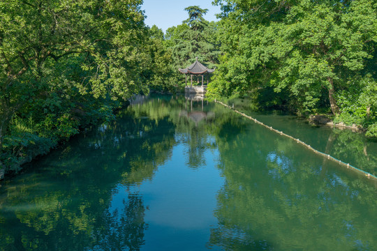 杭州西湖夏天风光