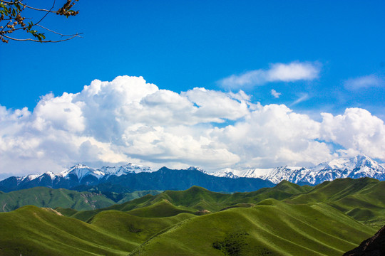 新疆石河子南山风景区