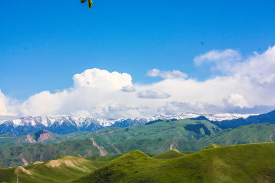 新疆石河子南山风景区