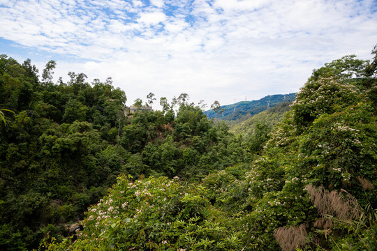 天竺山森林公园