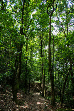 天竺山森林公园