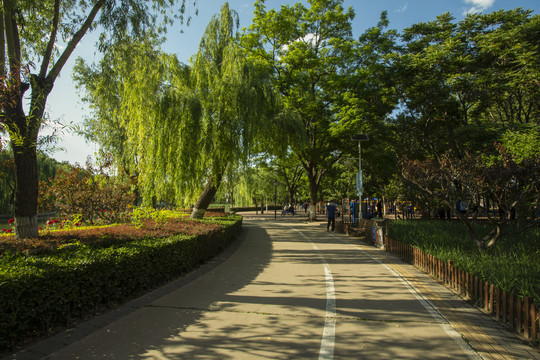 康庄公园健步道
